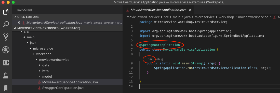 Starting Spring Boot in VS Code